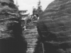 club224