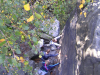 sany0036