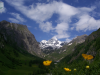 der_geplatzte_traum