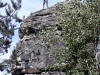 20190609_101527