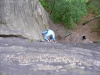p1000391