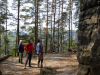 honigstein_010