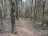 PXL_20220430_132432715