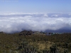 r0011317