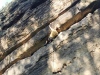 IMG_20210926_130629