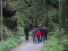 tschand1