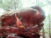 Fontainebleau & Albarracin