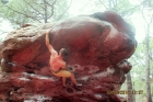 Fontainebleau & Albarracin