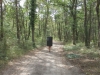 01_fontainebleau_5