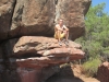 07_albarracin_41