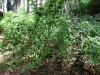 DSC04937