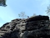 Dicke_Berta6