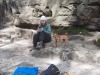 Dicke_Berta70