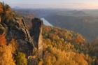 2009