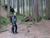Köhler (1)