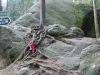 Köhler (5)