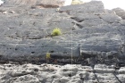 Lilienstein