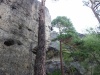 DSC05019