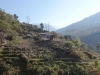 DSC01727