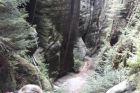 Tümpelgrund