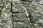 Wehlturm