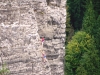 wehlturm4