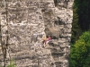 wehlturm5
