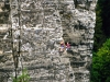 wehlturm6