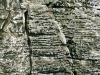 wehlturm9