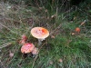20190929_122722